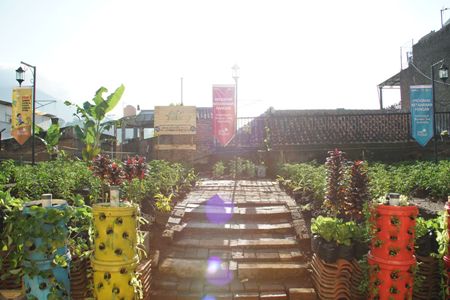 Optimalkan Halaman Masjid Jadi Lahan Pertanian Modern, Menteri BUMN Apresiasi Terobosan PLN