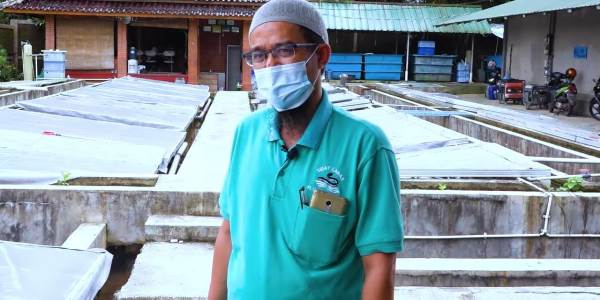 Prospek Bisnis Menjanjikan dari Budi Daya Sidat