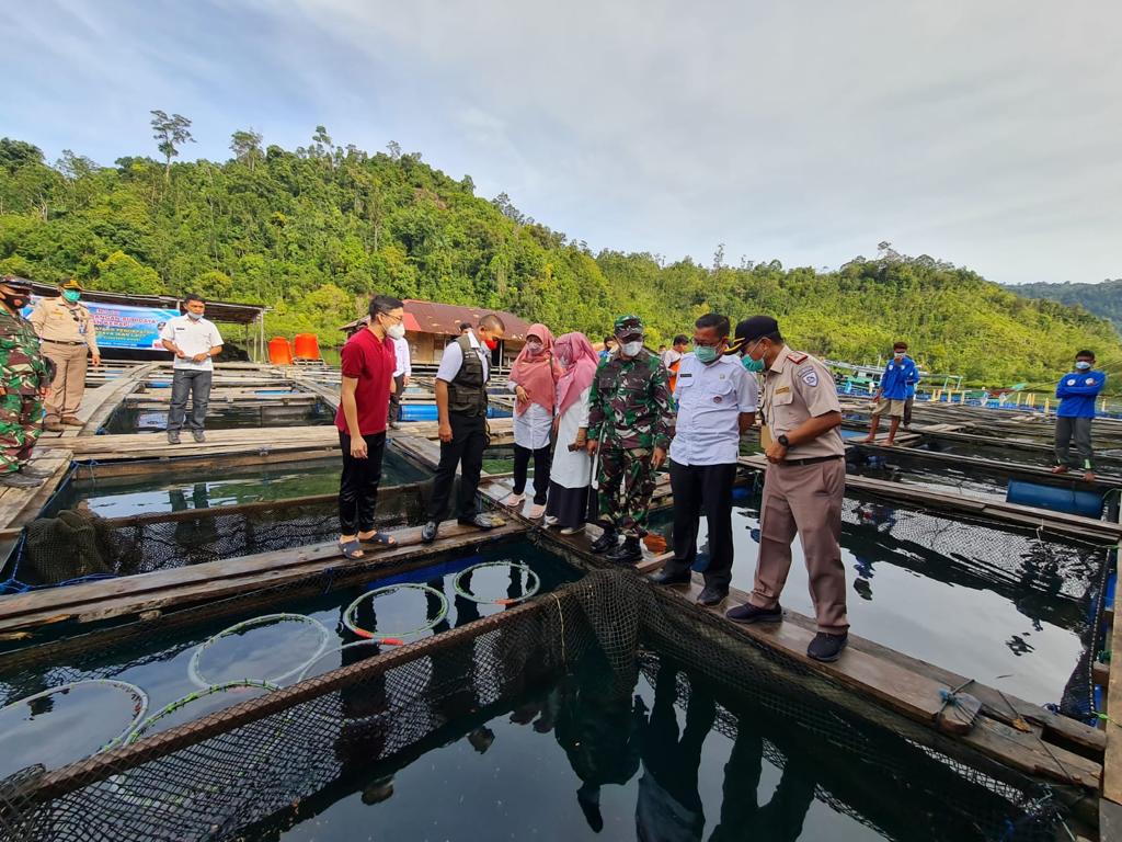 Dorong Pemulihan Ekonomi, Sumbar Ekspor 20 Ton Kerapu ke Hong Kong