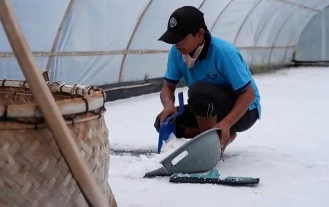 Inovasi Kampung Garam di Desa Mirit Kebumen, Berdayakan Banyak Warga Sekitar