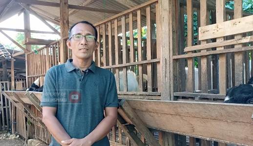 Sempat Gagal, Muslim Ini Sukses Ternak Kambing Etawa hingga Juarai Kontes
