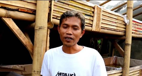 Iseng Turuti Kemauan Anak, Malah Sukses Kembangkan Budi Daya Ikan Guppy