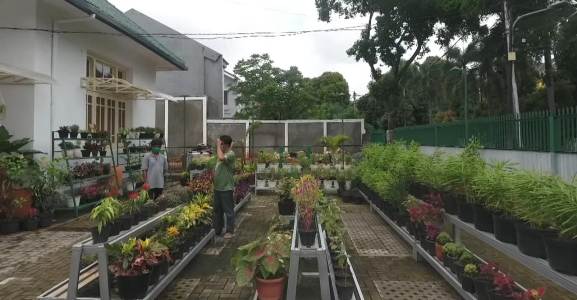 Berawal dari Iseng, Kini Sukses Kembangkan Pertanian di Ibu Kota