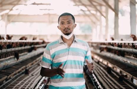 Modal Kepercayaan, Muslim Ini Sukses Ternak Ayam