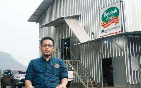 Dapat Untung Bersih Rp500 Juta Dari Peternakan Ayam Modern