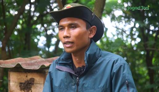 Manisnya Bisnis Madu, Terasa hingga Luar Negeri