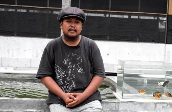 Peluang Bisnis Ikan Hias, Pasarnya hingga Mancanegara