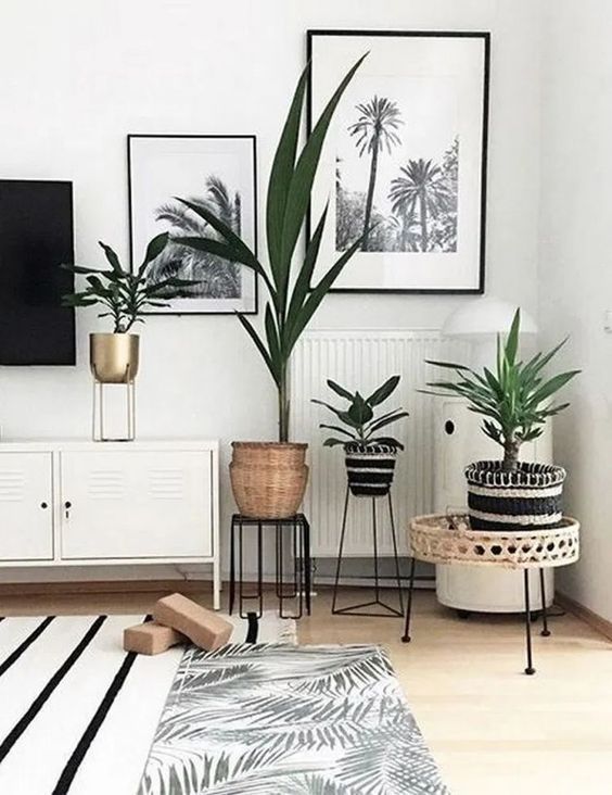 5 Alasan Anda Harus Mengecat Dinding Rumah dengan Warna Putih