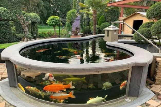 Bikin Betah, Ini 7 Manfaat dan Ide Desain Kolam Ikan Koi di Rumah