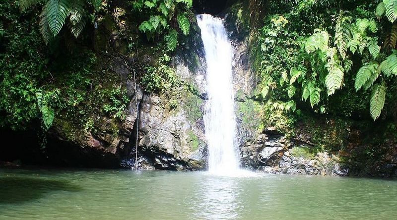 Uniknya Air Terjun Batu Dinding Riau, Masih Banyak Satwa Liar