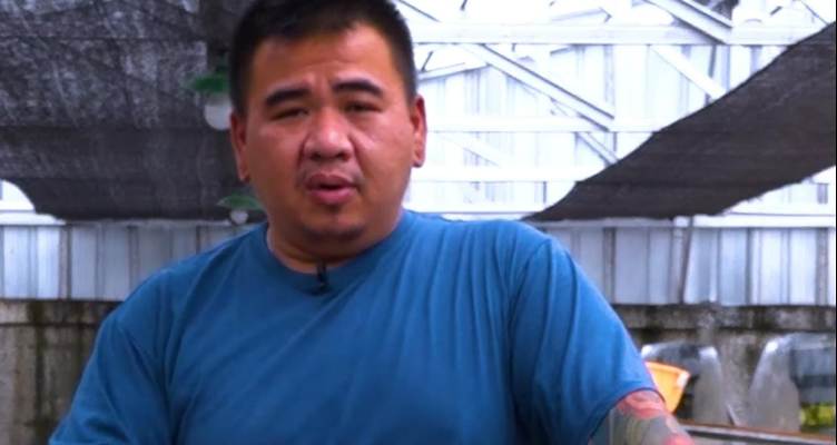 Dapat Cuan dari Hobi Ikan Mas Koki