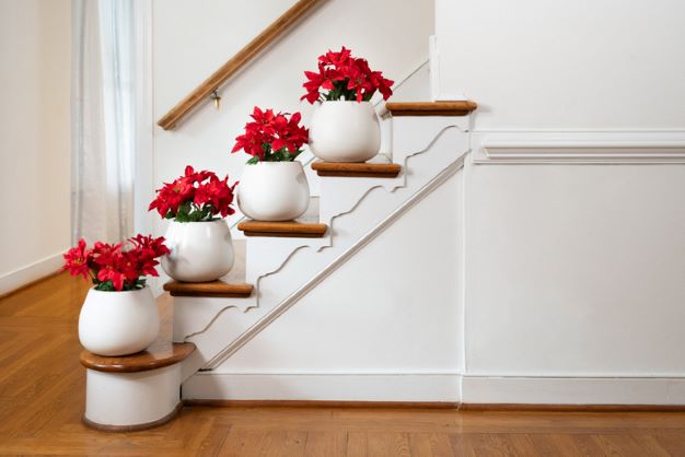 7 Tips Dekorasi Tangga Rumah agar Terlihat Cantik dan Menarik