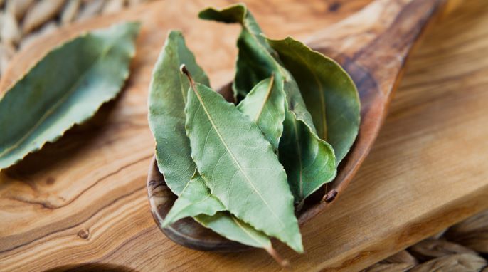 Terbuat dari Bahan Alami, Ini 4 Obat Pemusnah Rayap Patut Dicoba