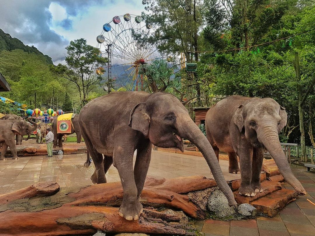 Jalur Termacet Saat Musim Lebaran, Ini 7 Wisata Daerah Puncak