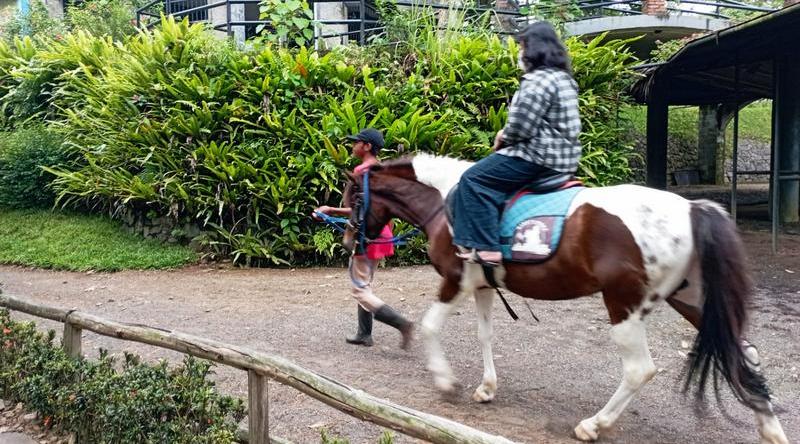 The Ranch Cisarua, Destinasi Wisata Berkuda di Puncak Bogor