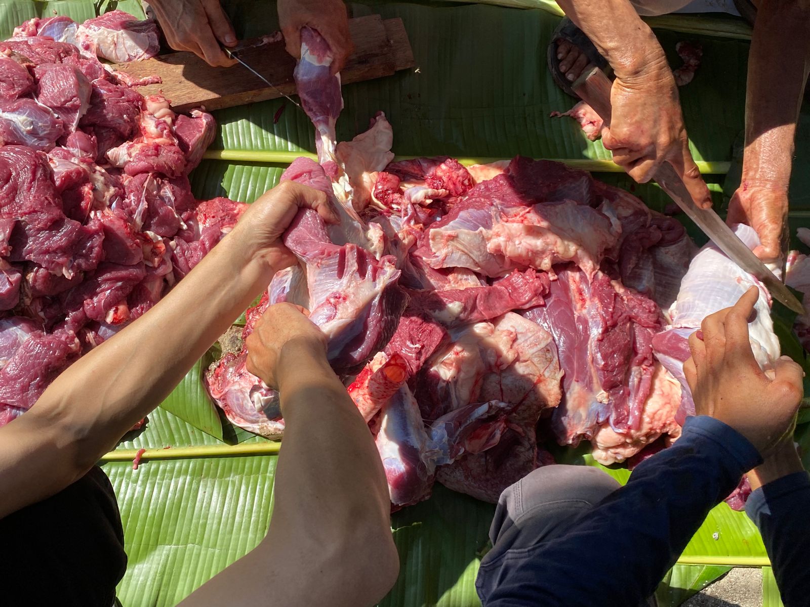 Idul Adha di Bandung, Daging Kurban Dibagi Rata Termasuk Non Muslim