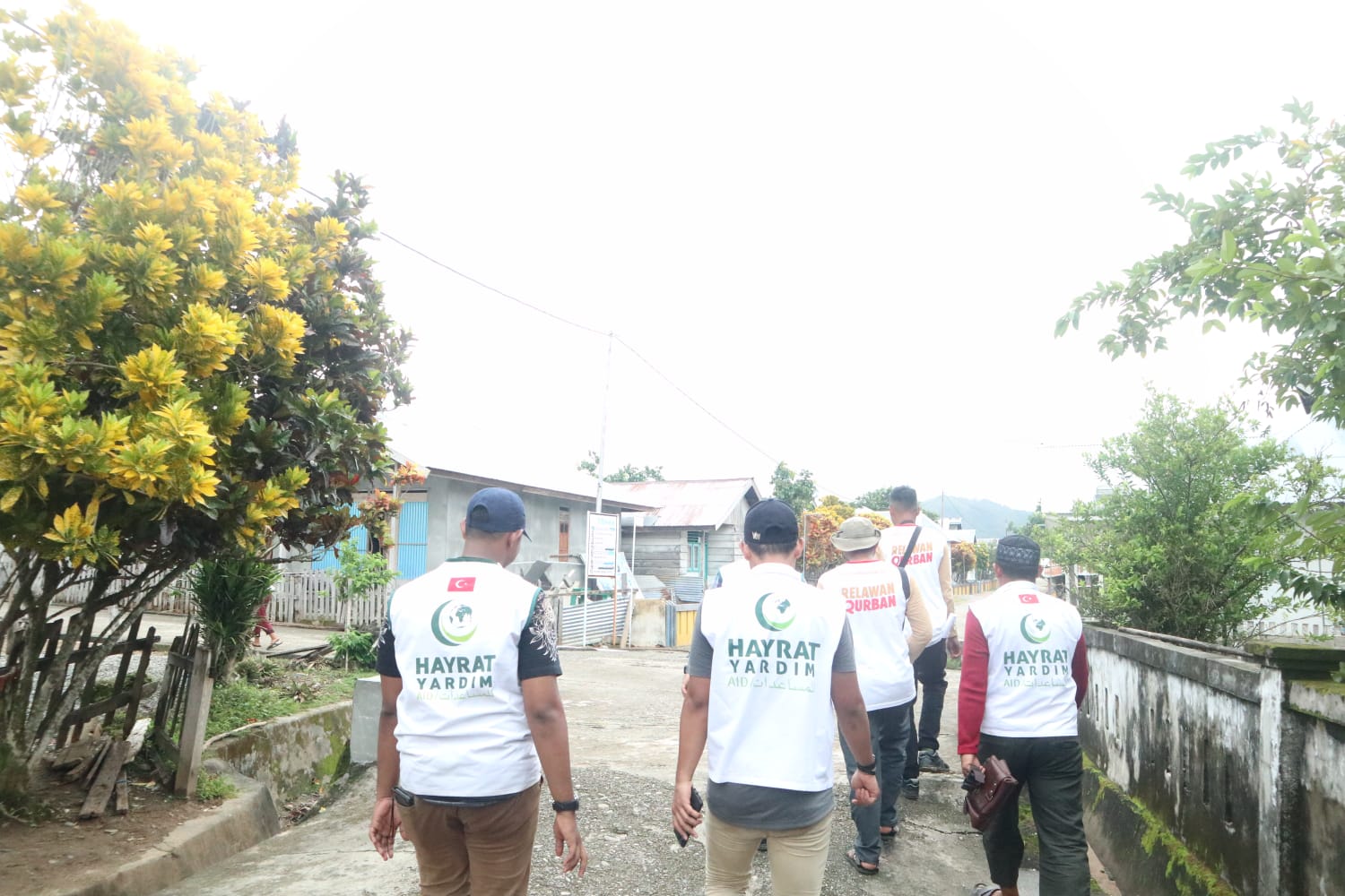 Hayrat Yardim Turki Sebar 77 Sapi Kurban di Daerah Terpencil Indonesia