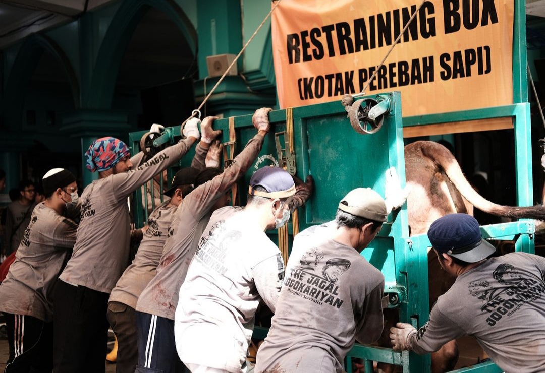 Cara Canggih Masjid Jogokariyan Sembelih 51 Sapi dan 37 Kambing dalam 4 Jam