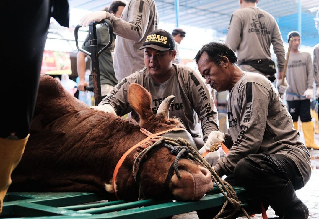 Cara Canggih Masjid Jogokariyan Sembelih 51 Sapi dan 37 Kambing dalam 4 Jam