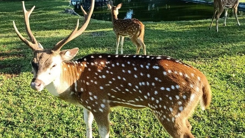Objek Wisata di Depok, Citayam Fashion Week Tak Mesti ke BNI City