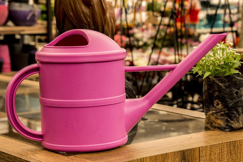 Hobi Berkebun, Ini Tips Sulap Halaman Jadi Lahan Produktif