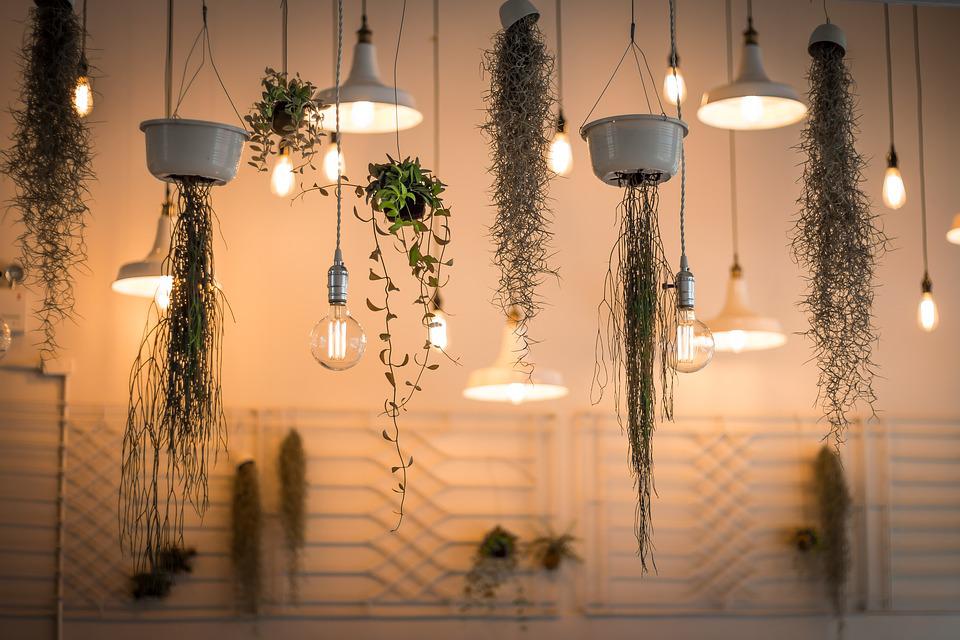 Hobi Berkebun, Ini Tips Sulap Halaman Jadi Lahan Produktif