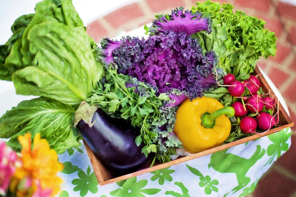 Hobi Berkebun, Ini Tips Sulap Halaman Jadi Lahan Produktif