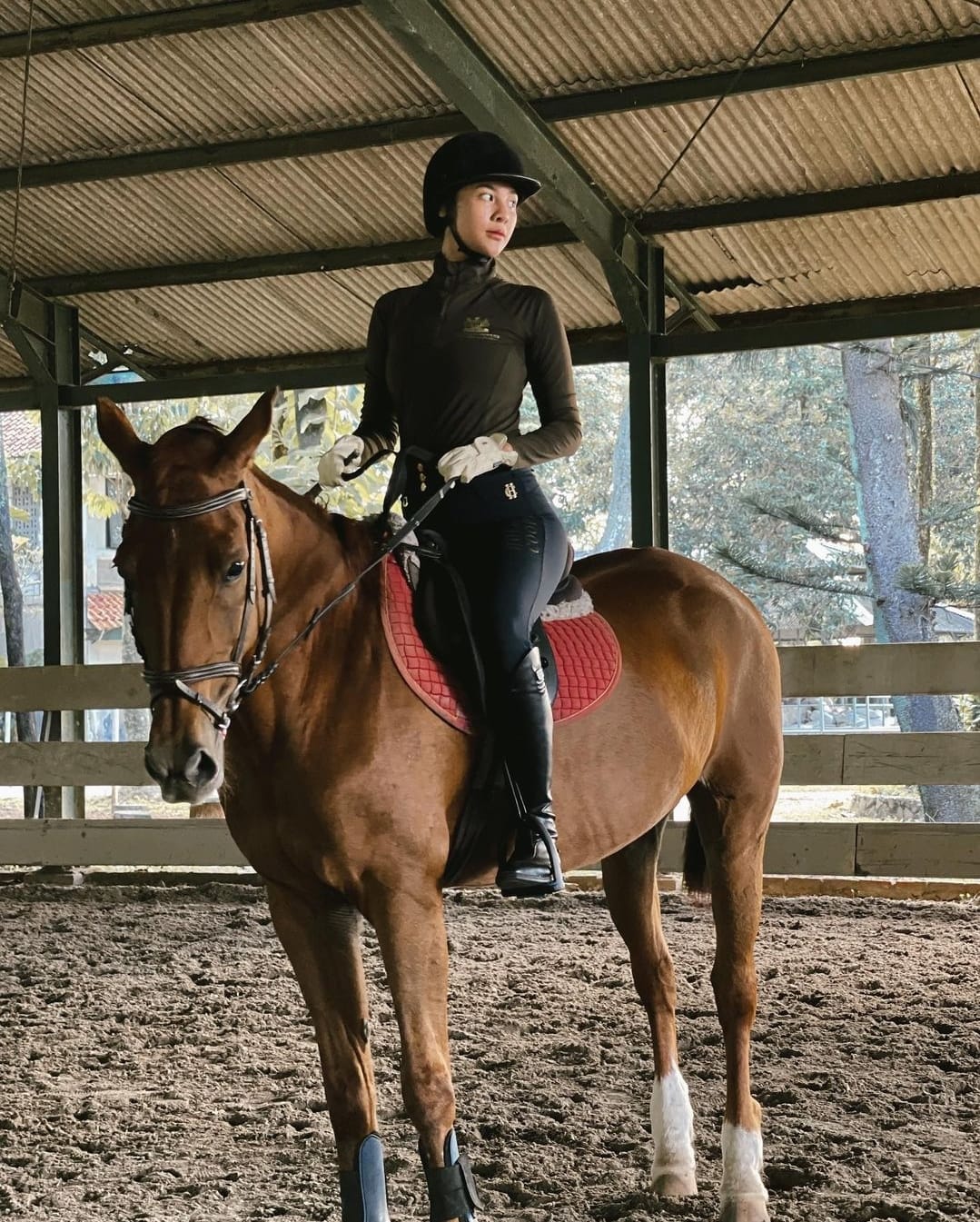 6 Artis Gemar Berkuda, Ada yang Tunggangannya Seharga 1 Miliar