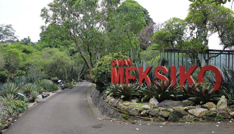 Wisata ke Taman Meksiko, Spot Menarik bagi Pecinta Tanaman Hias