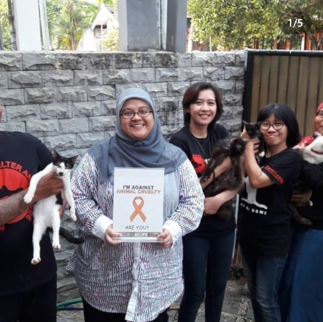 Selamatkan Kucing Liar, Ini 4 Penampungannya di Jabodetabek