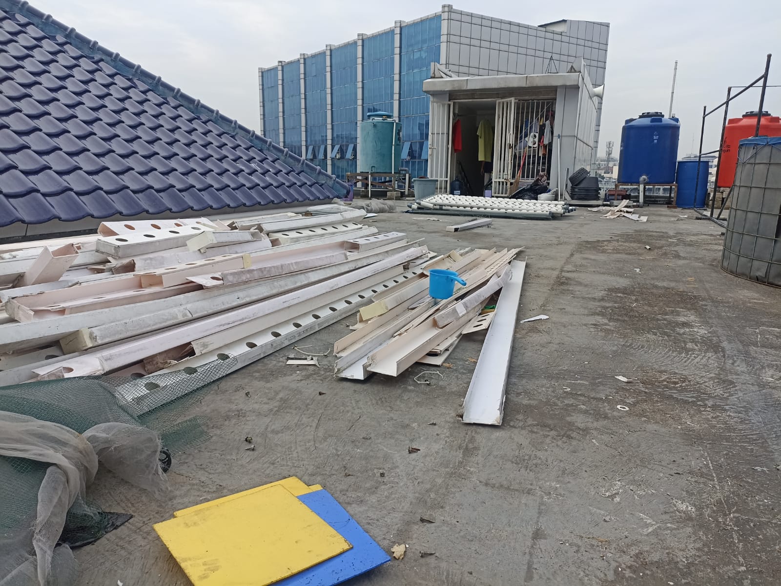 Masjid Asy Syifa RSCM Canangkan Kebun Hidroponik dengan Skala Besar