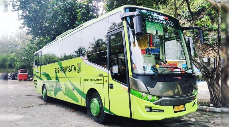 5 Bus Sleeper Nyaman Ini jadi Pilihan saat Wisata