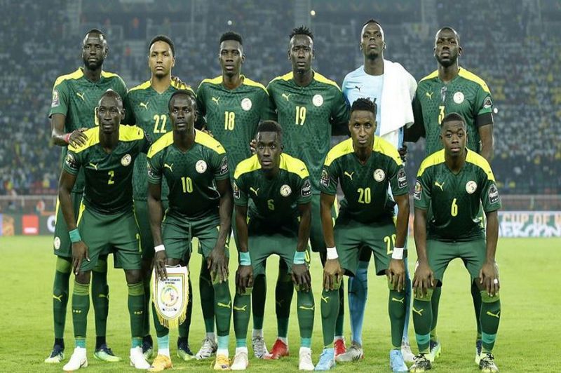 Profil 6 Negara Muslim Tampil di Piala Dunia 2022 Qatar