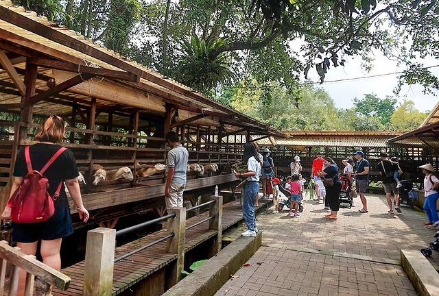 7 Destinasi Wisata Edukasi Anak di Jabotabek