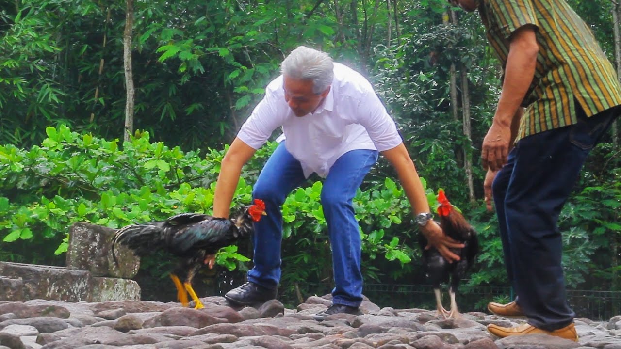 Capres Anies, Ganjar dan Prabowo Ternyata Punya Hewan Peliharaan, Ada Apa Saja Sih?