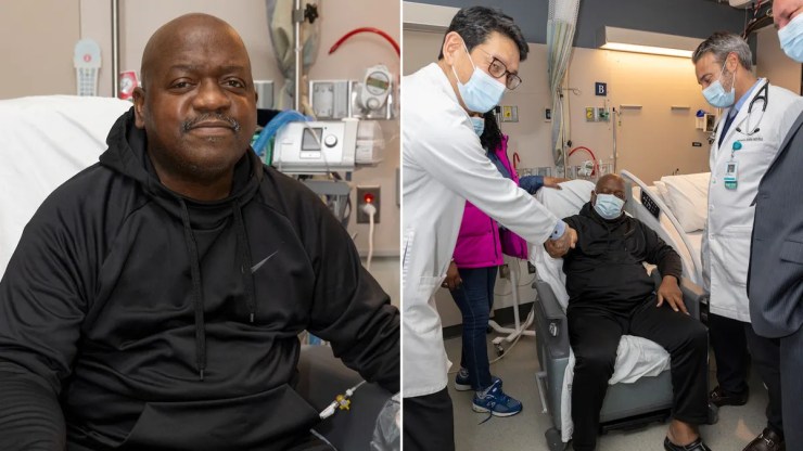 Pertama Di Dunia, Rumah Sakit Umum Massachusetts Sukses Transplantasi Ginjal Babi Ke Manusia