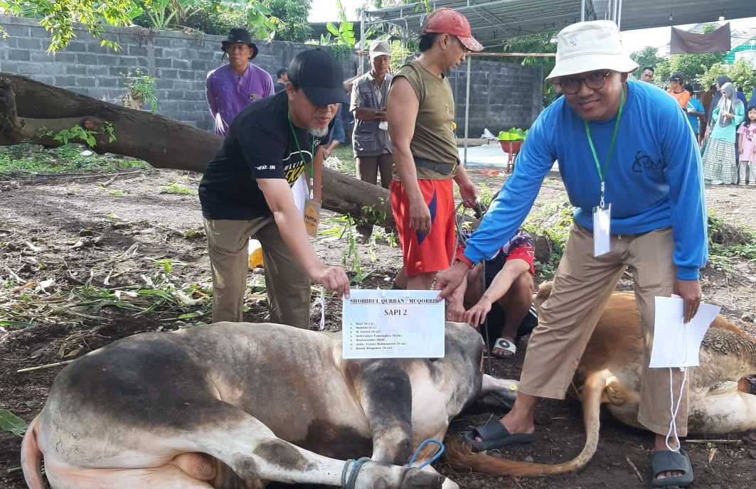 Idul Adha di Gading Kirana Estate, Takmir Masjid Al Ichsan Sembelih 8 Ekor Sapi dan 1 Kambing
