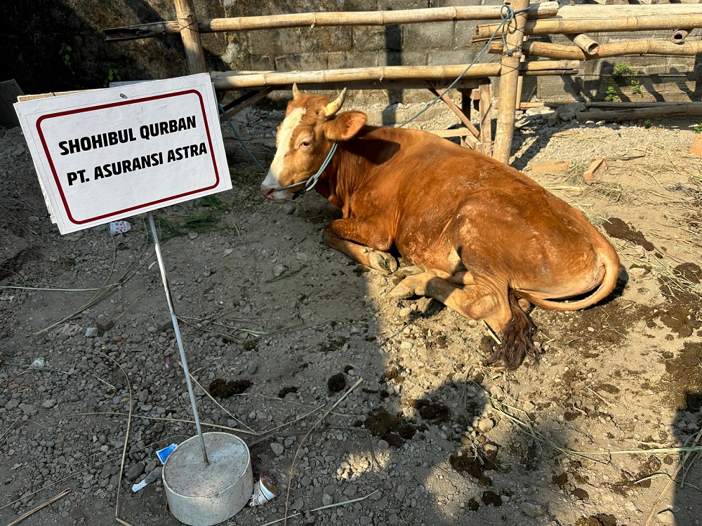 Rayakan Idul Adha, Asuransi Astra  Sedekahkan 16 Sapi dan 20 Kambing untuk Indonesia