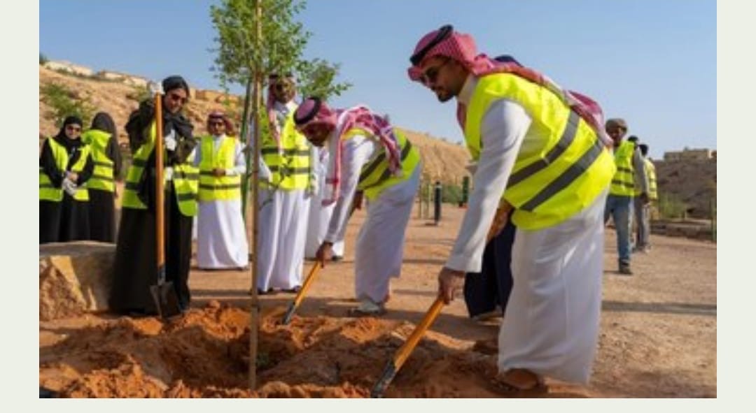 Ada Gerakan Tanam Pohon di Sekitar Masjid Nabawi, Satu Relawan Ditarget 300 Pohon
