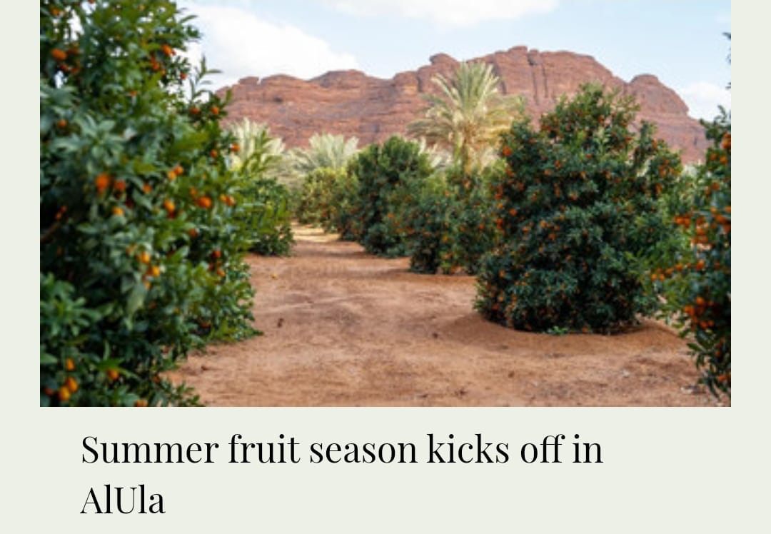 Pertanian Arab Bikin Kagum, Produk Buah dan Sayur lokal Banjiri Pasar