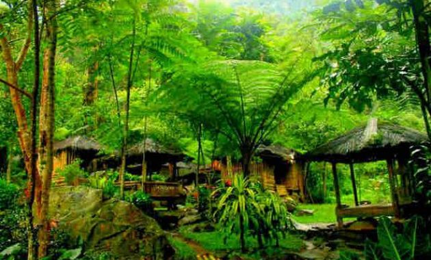 Bunihayu Forest, Destinasi Wisata Alam Baru yang Bawa Angin Segar untuk Purwakarta
