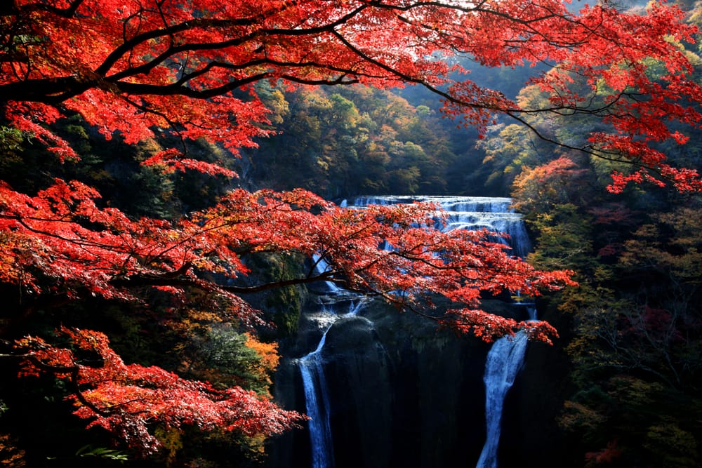 Yang Pengen Liburan ke Jepang, Waktu Terbaik ya November, Dijamin Semua Indah