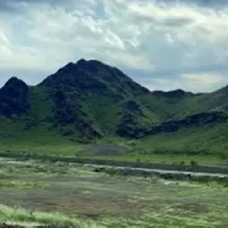 Gurun Gurun Antara Mekkah-Madinah Berubah Hijau dan Indah, Tapi Banyak Yang Memberi Arti Lain