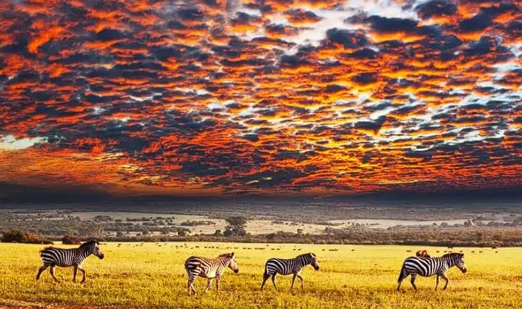 12 Destinasi dan Tempat Wisata  Sebagai Keajaiban Dunia, Dari Indonesia Ada Pulau Komodo