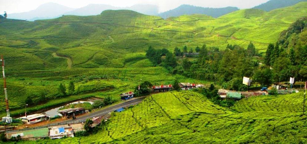 Kawin Kontrak di Puncak Ternyata Menyebar Sampai Amerika; Media LA Times Soroti Lemahnya Wanita Lokal