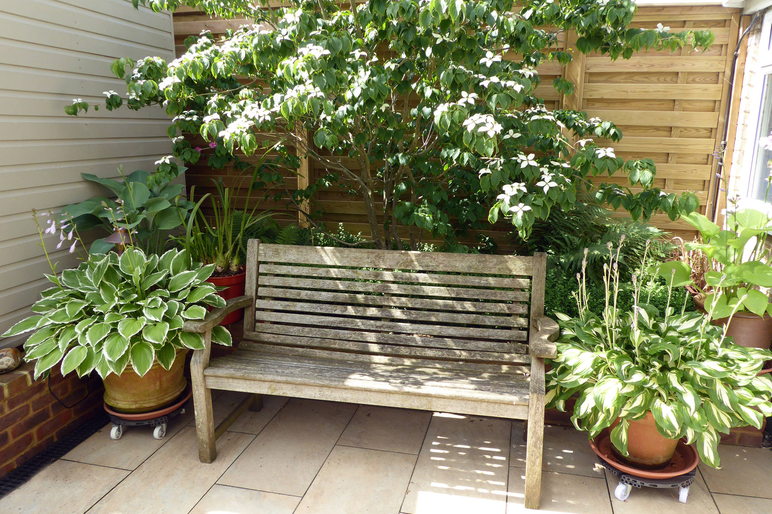 Sulap Halaman Jadi Surga Mini: 10 Ide Tata Taman yang Bikin Tetangga Melongo!