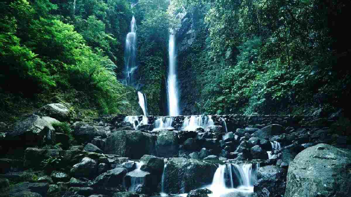 Wisata Puncak 2024, Destinasi Hits dari Alam hingga Wahana Modern
