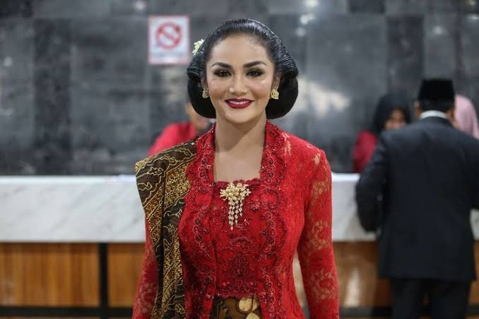 Nasib Artis Pada Pilkada 2024 Berdasarkan Quick Count, Siapa Saja yang Menang?