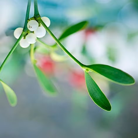 Deretan Tradisi Malam Tahun Baru Ter-Epic di Dunia, Lompati 7 Ombak Sampai Pecahkan Piring Bersama