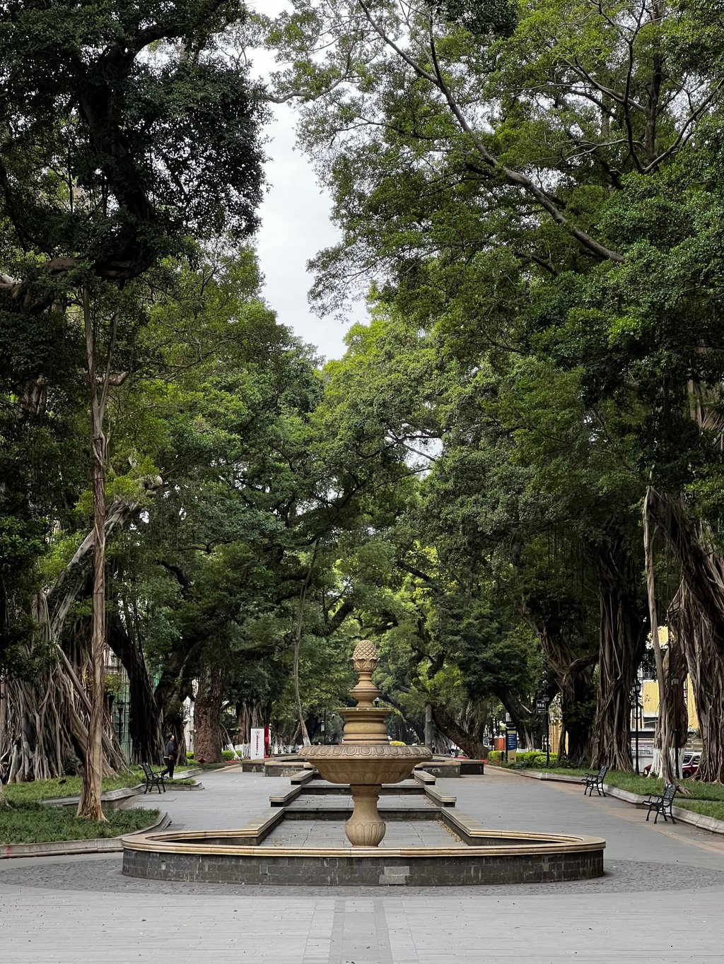 Wisata Halal Guangzhou 2025: Panduan Lengkap Masjid Bersejarah dan 2 Destinasi Menarik dari Hong Kong